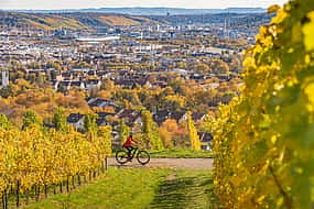 Foto 1 E-Bike-Tour ab Verona mit Amarone-Weinverkostung