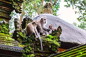 Foto 1 Bali Hidden Gems Tour