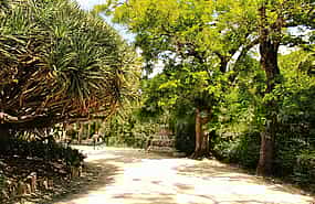 Photo 1 Principe Real and Botanico Gardens Private Tour