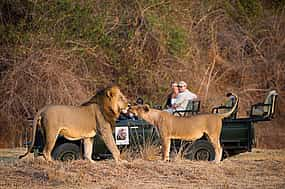 Foto 1 Excursión privada de un día a South Luangwa