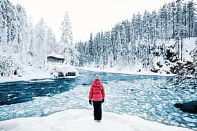 Foto 1 Neujahrswanderung im Winterwunderland in einem Nationalpark