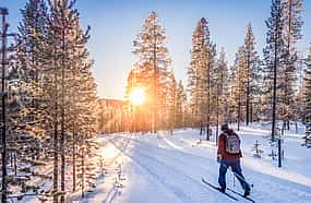 Photo 1 Ski Trekking Safari in Lapland