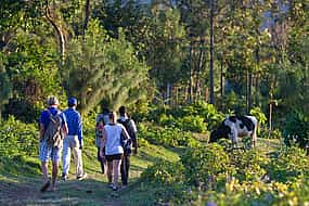 Photo 1 Fresh Morning Hike in Arusha