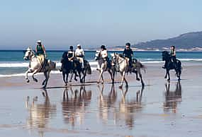 Foto 1 Reiten am Meer in İstanbul