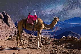 Φωτογραφία 1 Mount Sinai and Saint Catherine’s Monastery 2-day Tour from Cairo