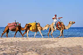 Foto 1 Camel Ride in Agadir