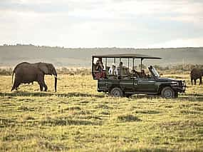 Foto 1 Selous Safari 2-tägige private Tour mit Flug