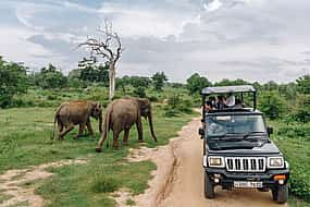 Foto 1 Excursión privada a Udawalawa con recogida en los complejos turísticos