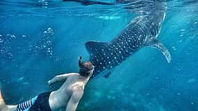 Photo 1 Wild and Wowed Cebu Tour: Whale Shark Snorkeling, Kawasan Canyoneering and Zipline