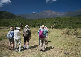 Photo 1 Arusha National Park Full-day Tour