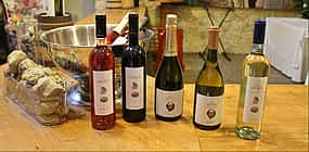 Photo 1 Northern Lisbon Wine Tasting