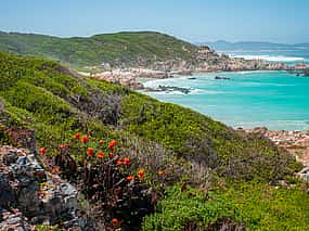 Foto 1 Excursión por la playa de Hermanus y experiencia todoterreno