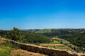 Photo 1 Wellington Lines Walking Tour