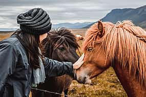 Foto 1 Excursión a caballo de 2 horas desde Mývatn