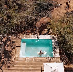 照片 1 Privater Safari-Ausflug in das luxuriöse Tented Camp und Spa