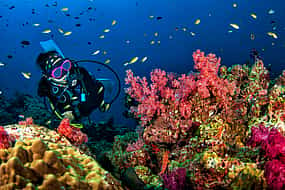 Photo 1 Mauritius Private Diving Cruise