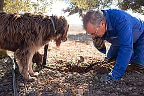 Photo 1 Truffle Hunting and Amarone Wine Tasting