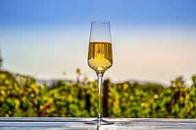 Fotoğraf 1 Tam Gün Cape Winelands Trike Turu