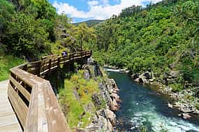Photo 1 Hike the Paiva Walkways Tour