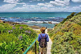 Foto 1 Excursión a la montaña desde Hermanus