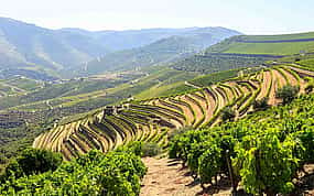 Foto 1 Private Weintour durch das Douro-Tal mit 3 Weingütern