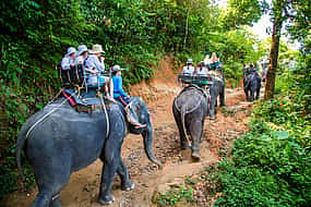 Foto 1 Phuket: Rafting en bambú, Senderismo en elefante con paseo en quad de 15 minutos