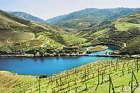 Photo 1 Douro Valley Wine Tour with 2 Wineries, Lunch and River Cruise