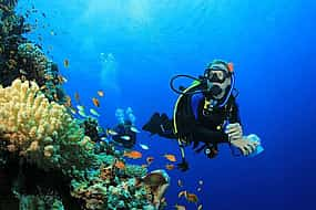 Photo 1 Dive Hurghada Daily