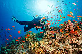 Photo 1 Discover Scuba Diving
