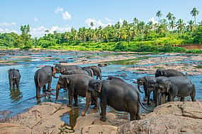 Foto 1 Visita privada de la ciudad de Kandy con recogida en los complejos turísticos