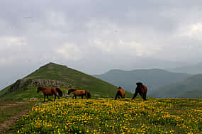 Foto 1 Excursión de 2 días a caballo por los prados alpinos de Armenia