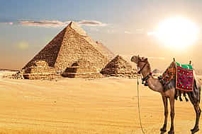 Foto 1 Half-day Giza Pyramids and Sphinx Tour with Camel Ride
