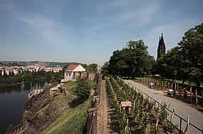 Photo 1 Vysehrad Castle Walking Tour