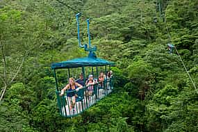 Фото 1 Воздушный трамвай RainForest, речной круиз и прогулка на природе: Эко-тур