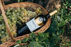 Φωτογραφία 1 Visite premium de la cave à vin Voskevaz