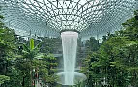 Фото 1 Jewel Changi Airport с парком Canopy Park. Частная пешеходная экскурсия