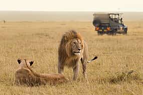 รูปภาพ 1 3-day Tour at Aquila Game Reserve. Big 5 Experience from Cape Town