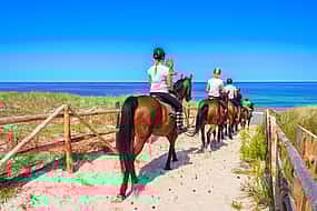 Photo 1 Horses in the Sand Tour