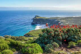 Photo 1 Cape of Good Hope and Sightseeing Tour