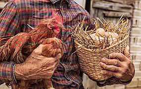 Photo 1 Private Agricaltural Tour: a  Day at the Corfu Farm