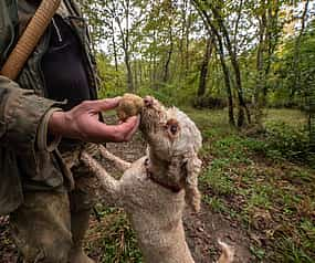 Photo 1 Truffle Hunting, Lunch, Wine and Evo Oil Tasting