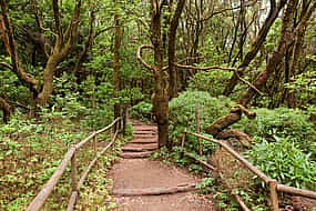 Foto 1 Excursión a la selva tropical con degustación de productos locales