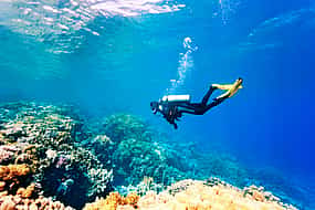 Fotoğraf 1 Esperienza di immersione ad Antalya