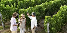 Photo 1 Enogastronomic 4-hour Private Tour in Tenerife