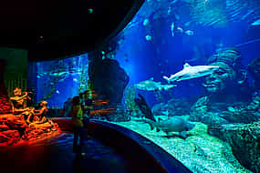 صورة 1 Experiência em Aquário com Pacote de Bilhetes Combo