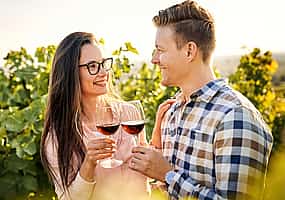 Photo 1 For Couple: Private Full-day Winelands Tour to Paarl