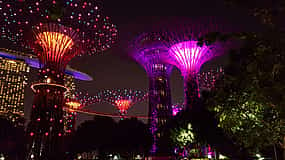 Photo 1 Evening Gardens by the Bay Private Walking Tour