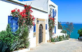 Foto 1 Cartago y Sidi Bou Said