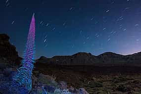 Foto 1 Berg Teide Nacht Tour: Sternguckerei mit Abendessen