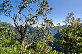 Fotografie 1 Ribeiro Frio, Portela Full-day Walking Tour